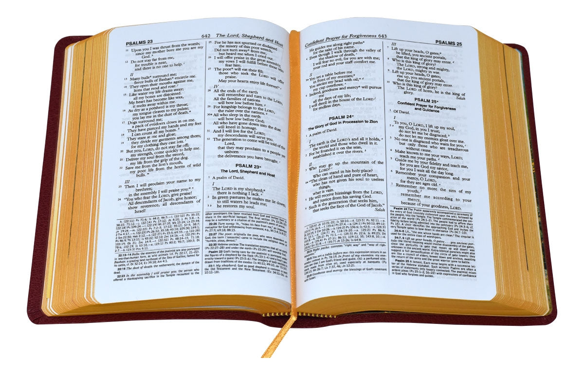 Catholic New American Bilbe