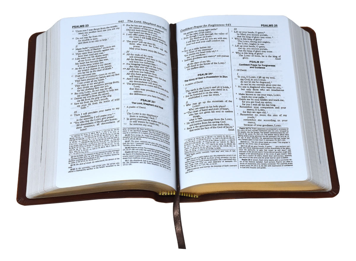 Bible Catholic New American Bible