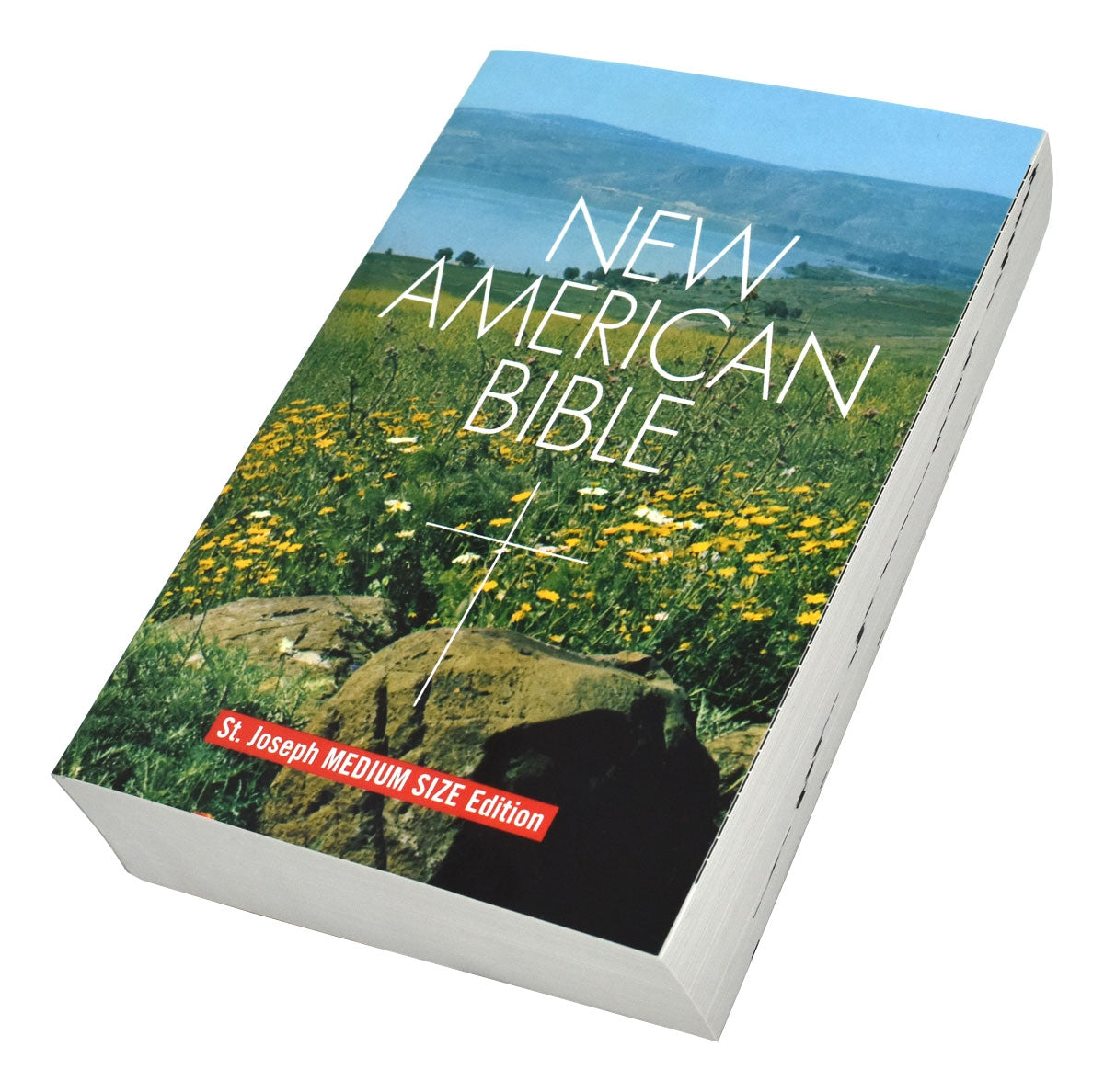 Catholic New American Bible