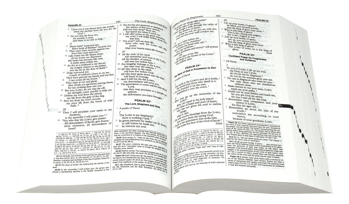 Catholic New American Bible
