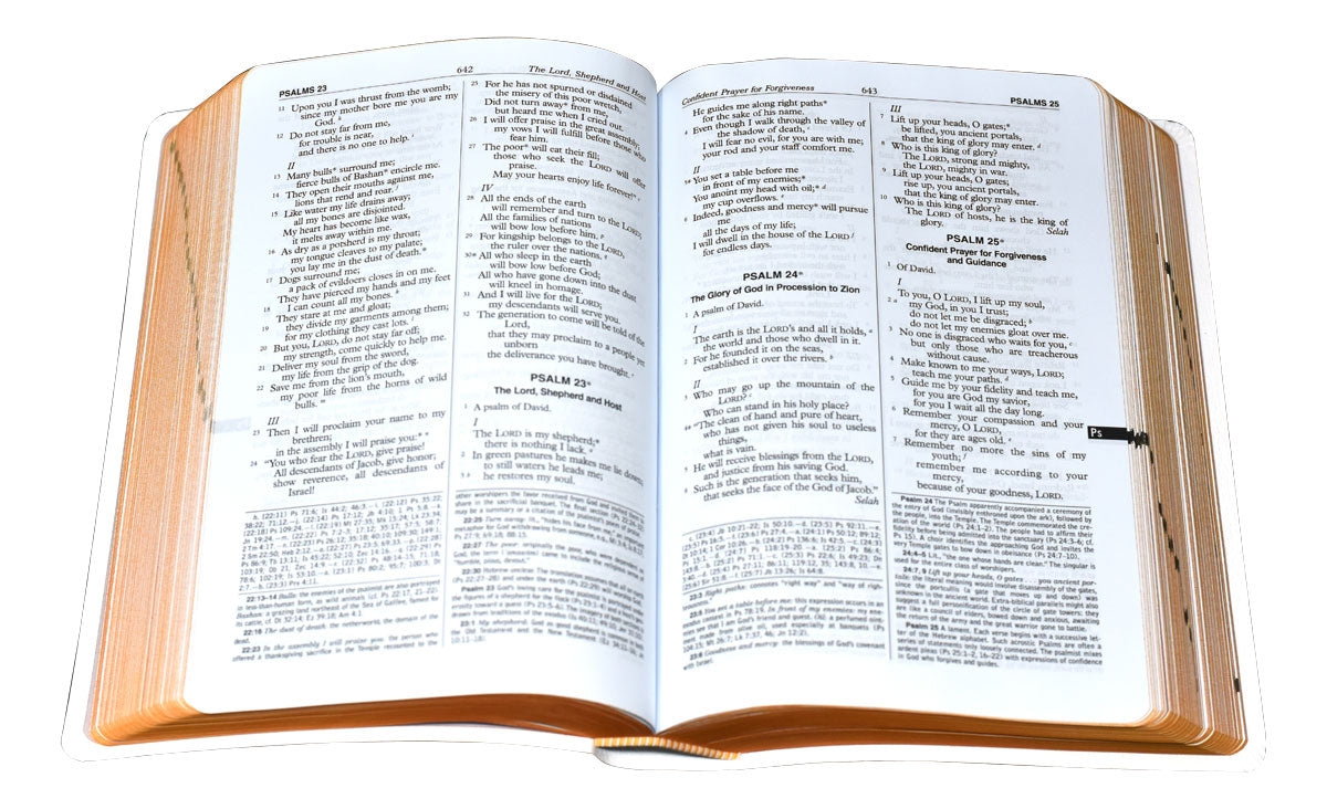 St Joseph New American Bible