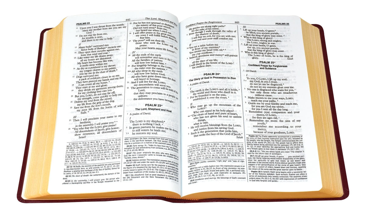New American Bible
