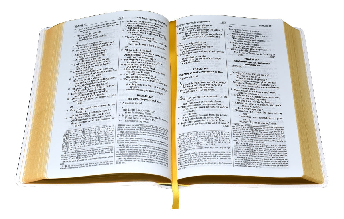 New American Bible