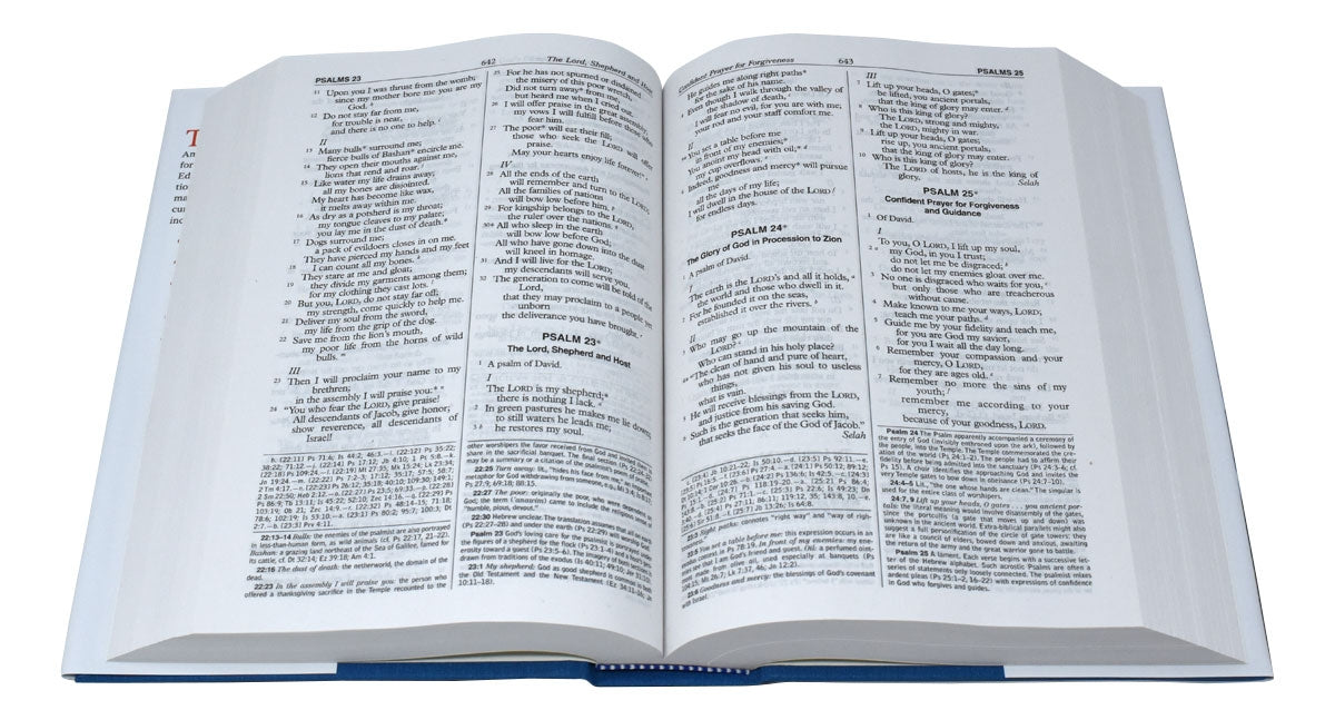 New American Bible