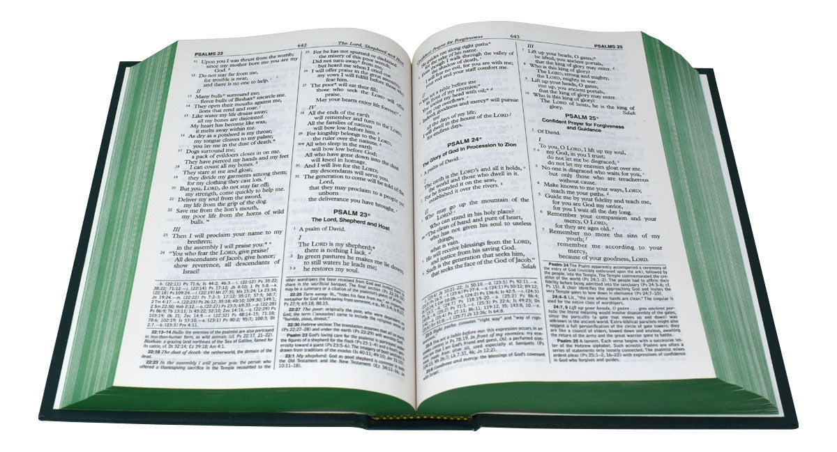 New American Bible