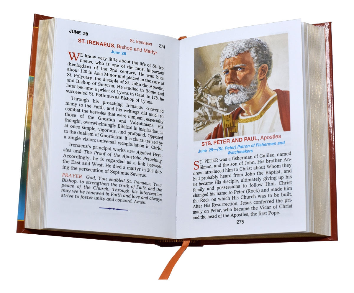 Catholic Book the Saints
