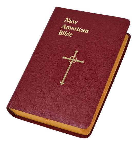 Catholic New American Bilbe