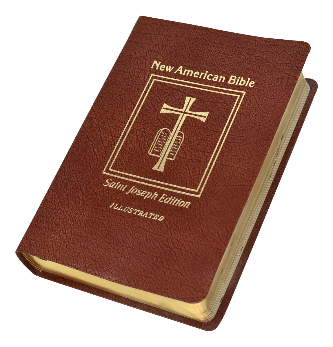 Bible New American 