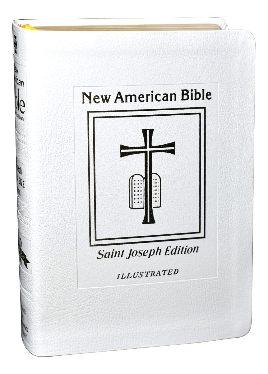 Catholic New American Bible